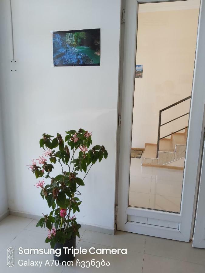 Martvili Newhotel Esterno foto